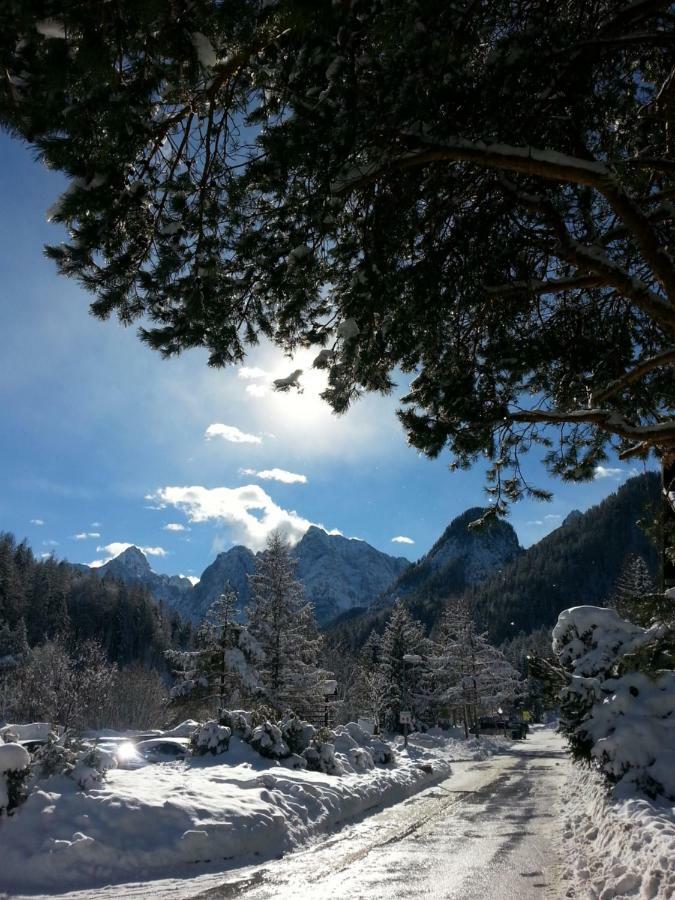 Apartmaji Gros Kranjska Gora Eksteriør bilde